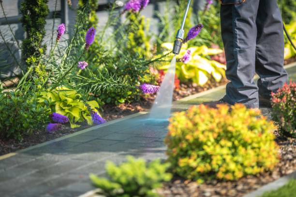 Reliable Grafton, OH Pressure Washing Services Solutions